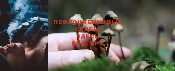 хмурый Армянск